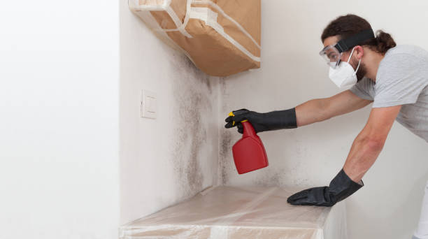 Professional Mold Remediation technician working in Highland Park, IL
